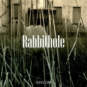 Rabbithole500x500